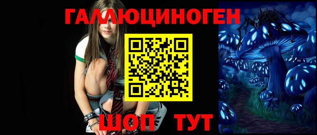 Галлюциногенные грибы Psilocybine cubensis  как найти закладки  Азов  Вход с VPN 